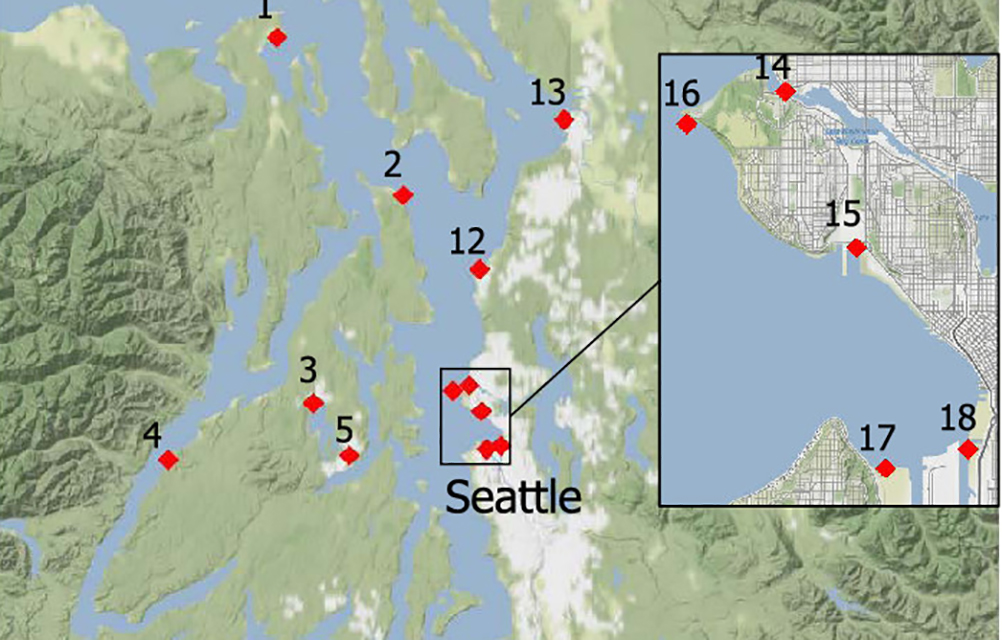 A map showing the 18 regions of Puget Sound where researchers collected water