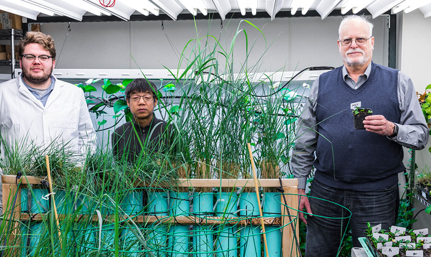 Three researchers standing behind plants. One of them holding a small potted plant