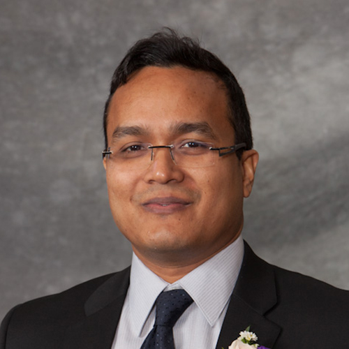 Professor Faisal Hossain