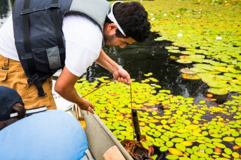 Researcher at Lake Killarney