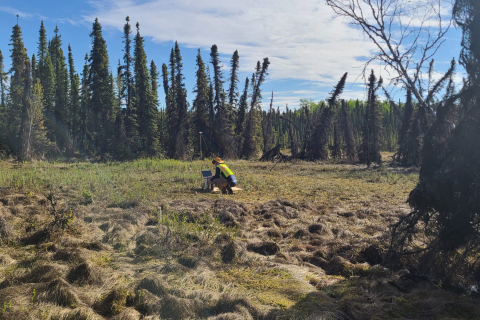 UW doctoral student Joel Eklof downloads data from temperature sensors in the center of a permafrost-surrounded bog in Alaska’s Kenai Wildlife Refuge. Eklof is standing on a board to disperse his weight, which helps reduce his environmental impact.
