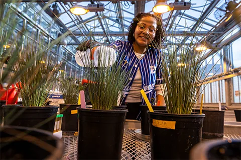 Woman watering plants in a greenhouse