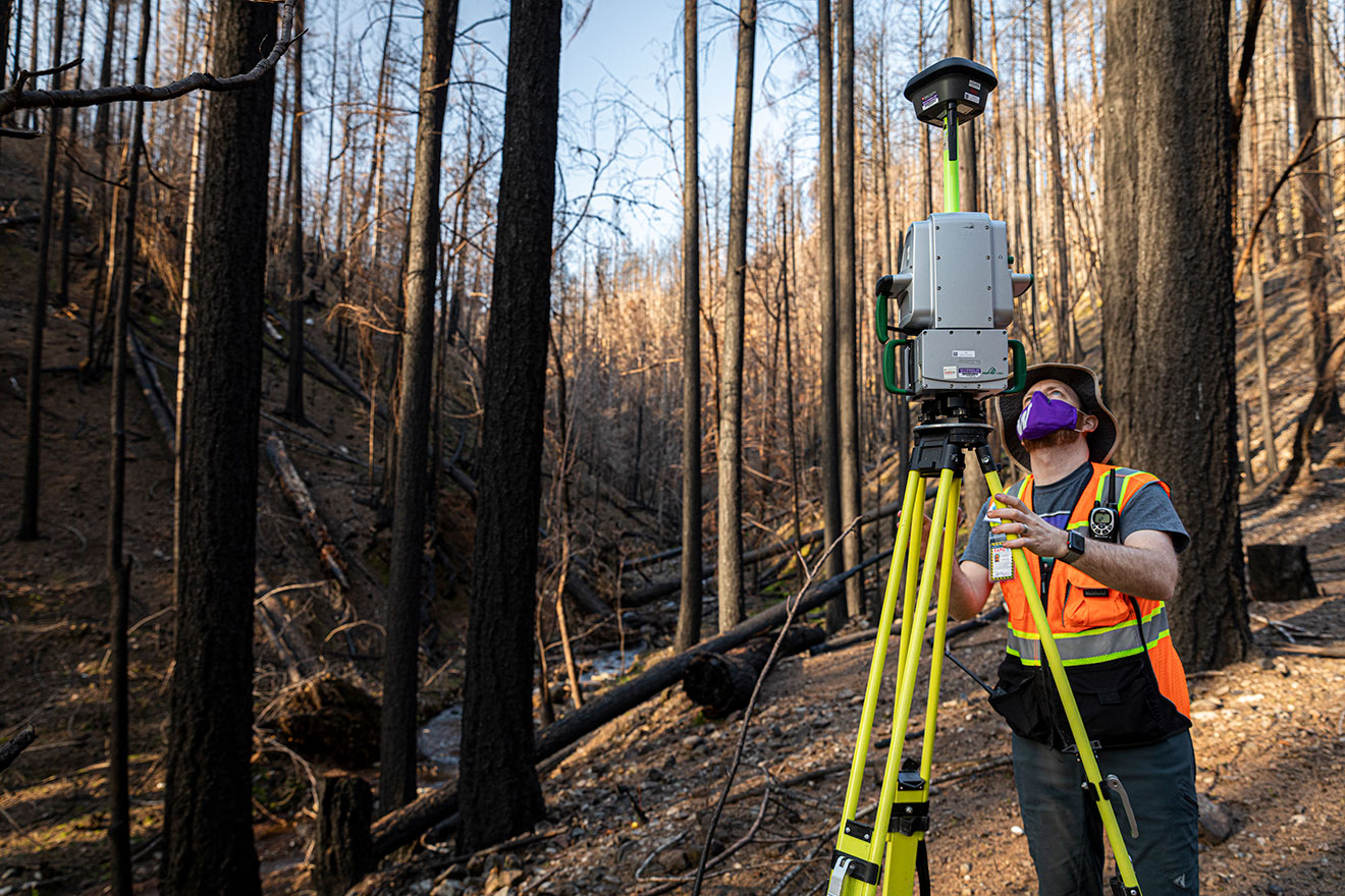 A section of forest devastated by wildfire