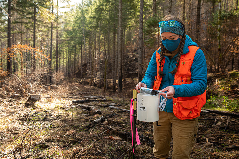 Researcher servicing a rain gauge