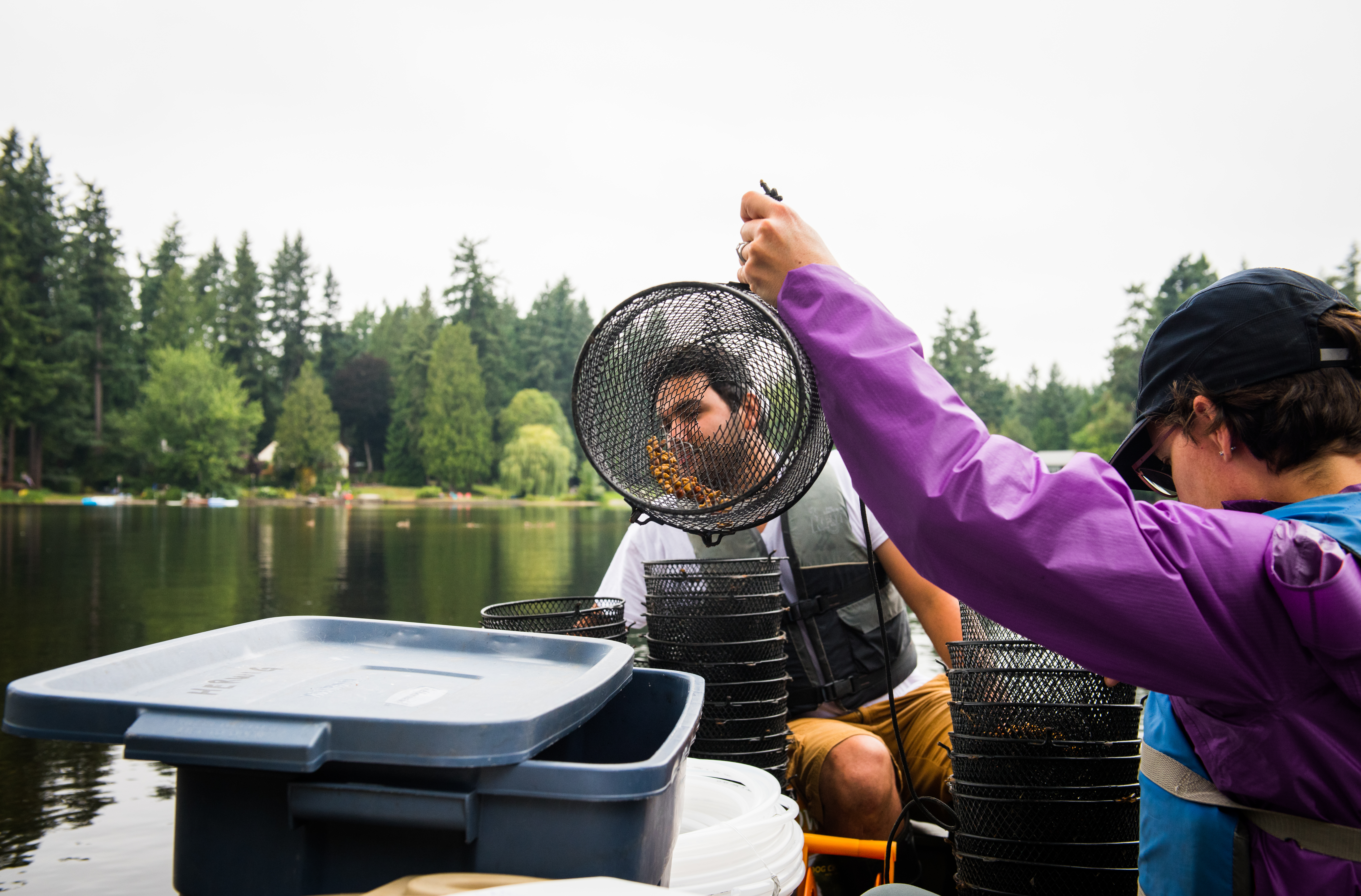 Associate professor Rebecca Neumann and field technician Marco Barajas set out crayfish traps as part of an experiment testing arsenic accumulation in different parts of the food chain.