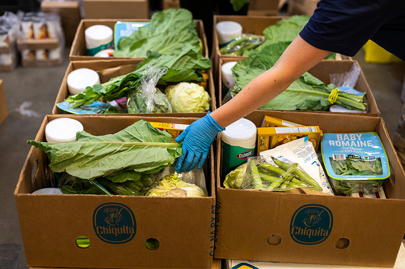 Food boxes for car delivery being packed by volunteers at the University District Food Bank. 