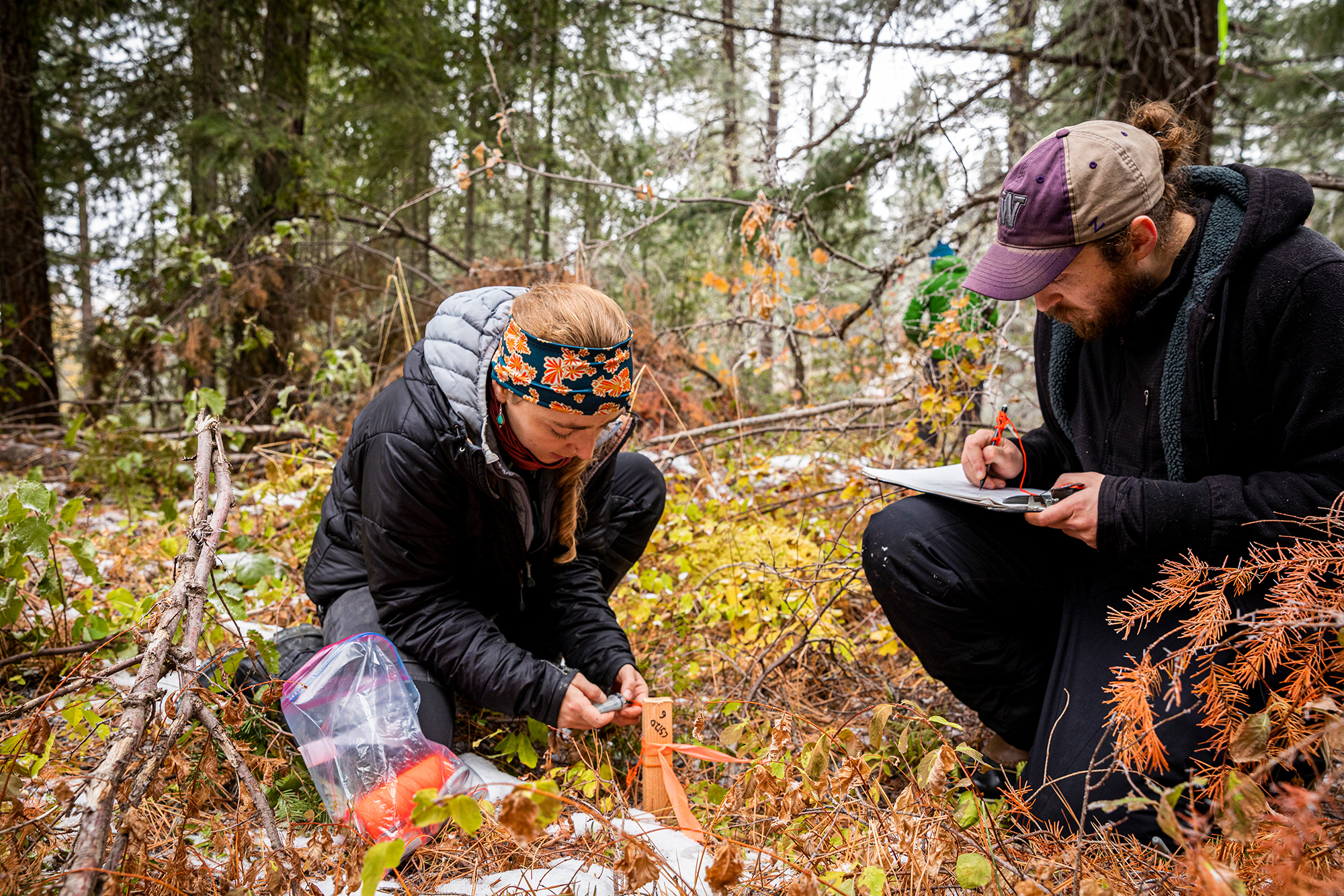 Ph.D. students Cassie Lumbrazo and Steven Pestana place temperature sensors.