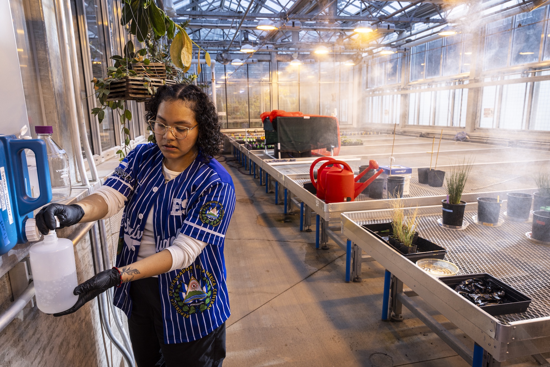 Woman in a greenhouse filling a container with water 