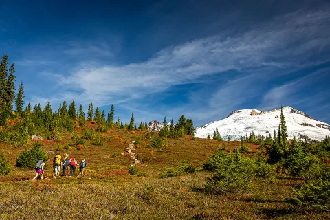 A group of students hiking up the Easton Glacier