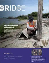 The Bridge Newsletter Autumn 2024 cover preview